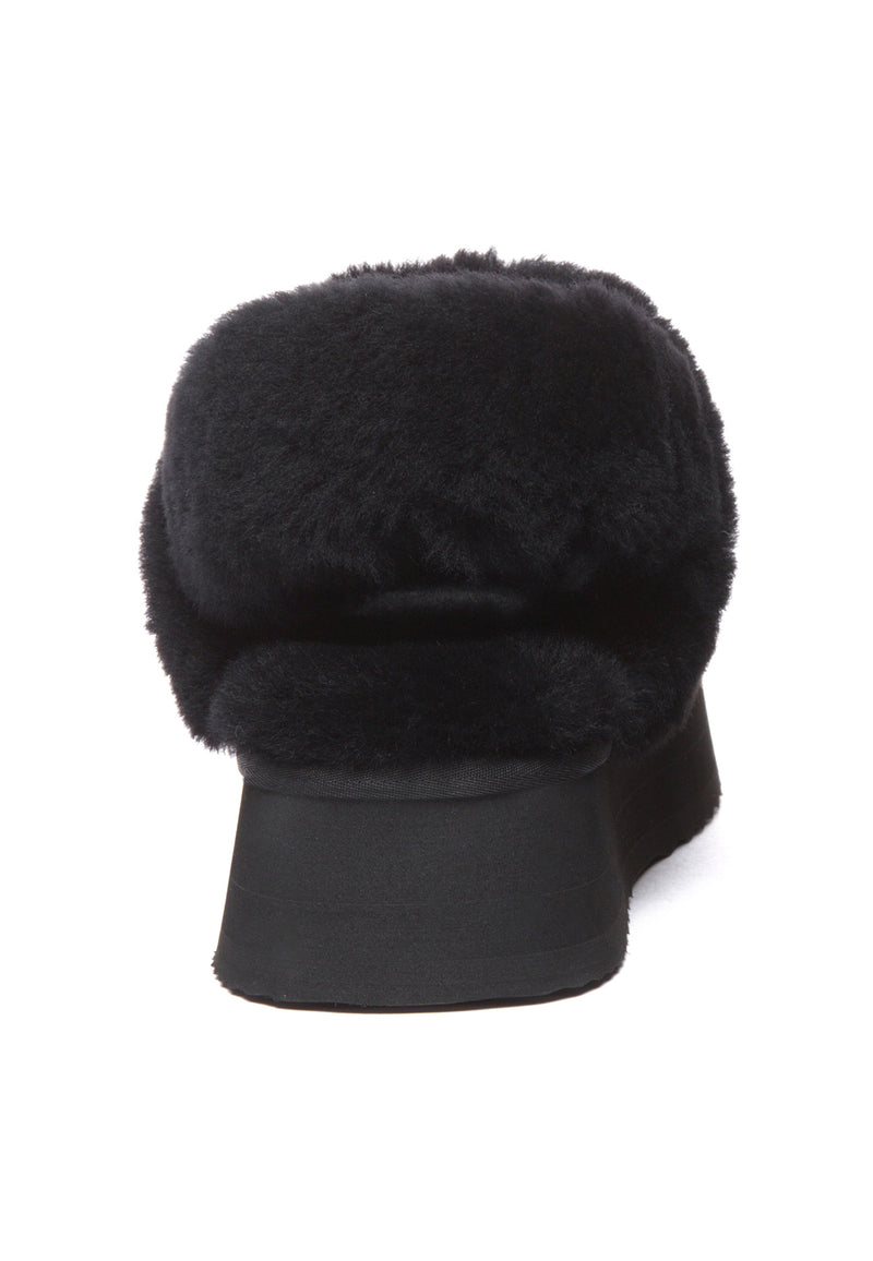 FANTAIL-BLACK