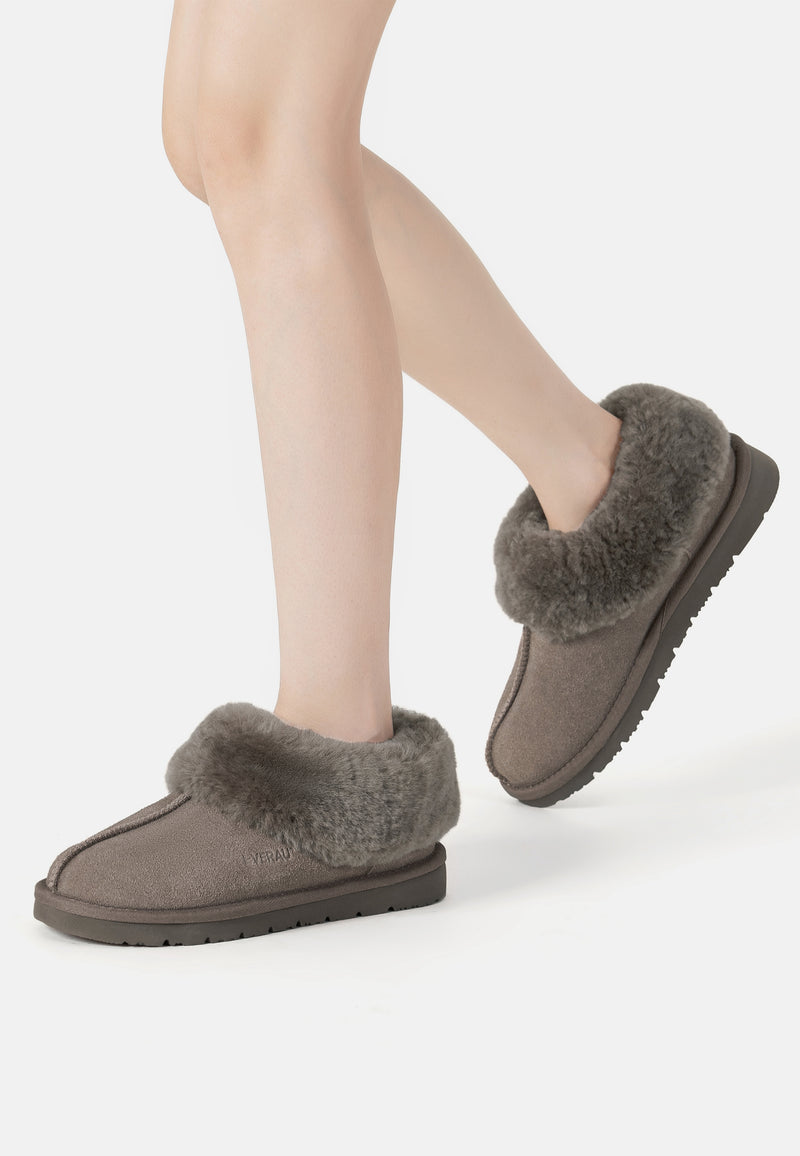 IBIS-BROWN