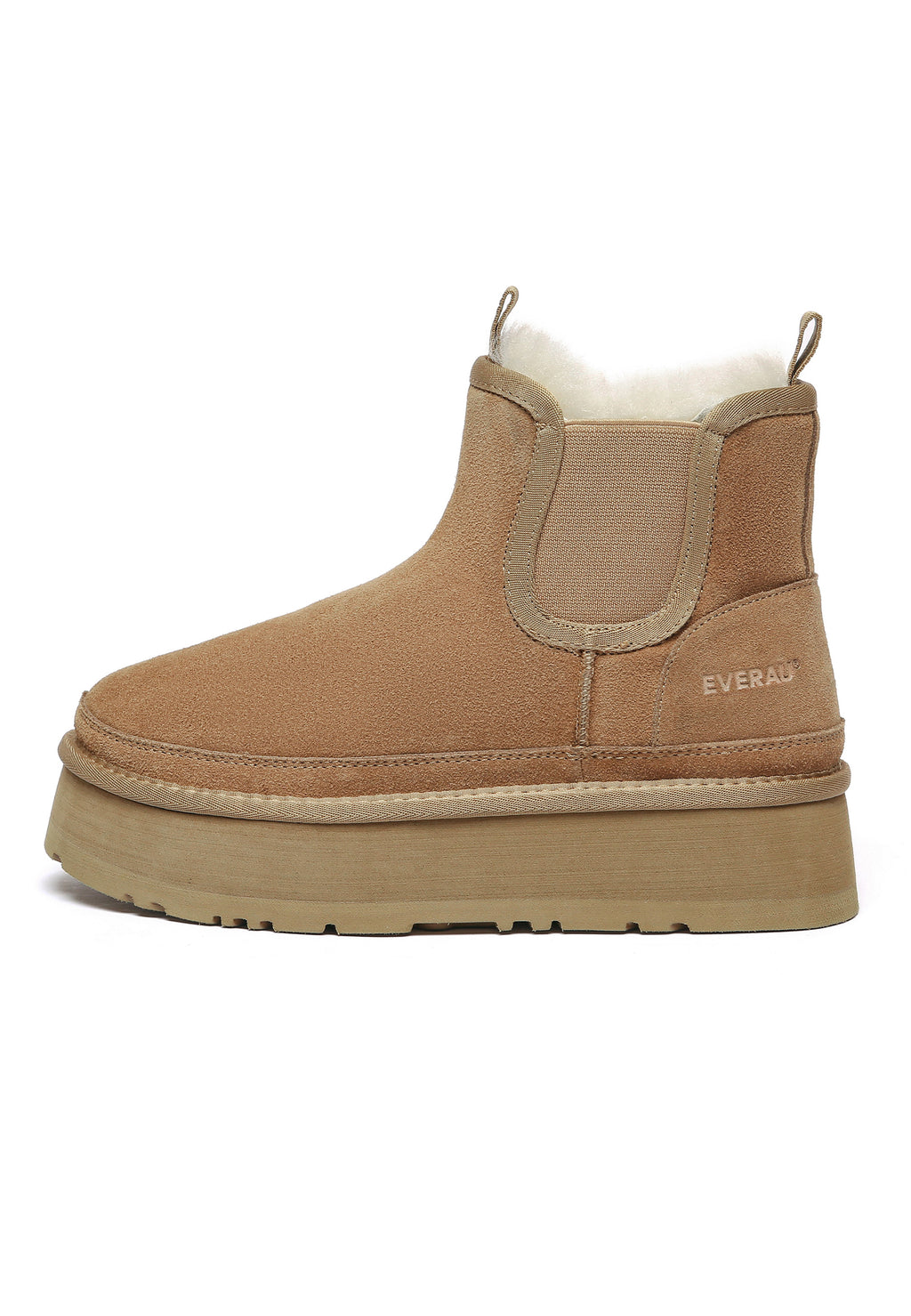 SHOVELER-CHESTNUT