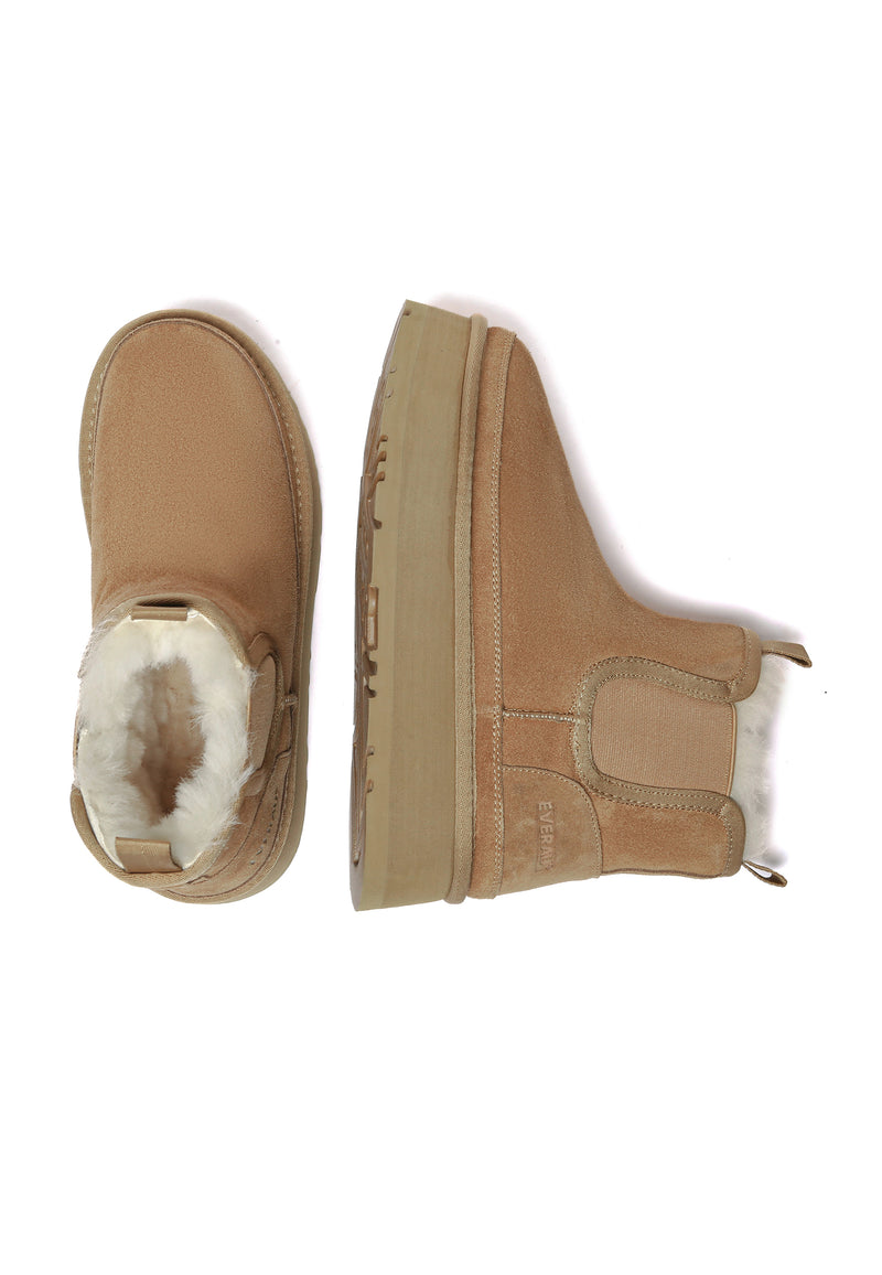 SHOVELER-CHESTNUT