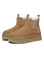 SHOVELER-CHESTNUT