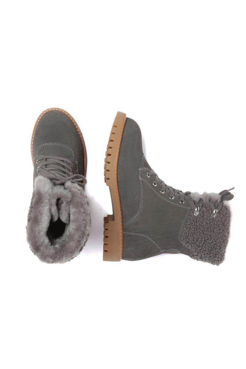SITTELLA-GREY